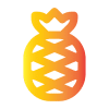 pineapple אננס