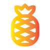 pineapple אננס